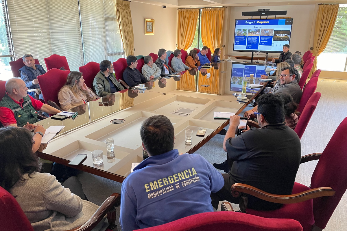 UdeC refuerza estrategia para combatir incendios forestales junto a comunidad e instituciones