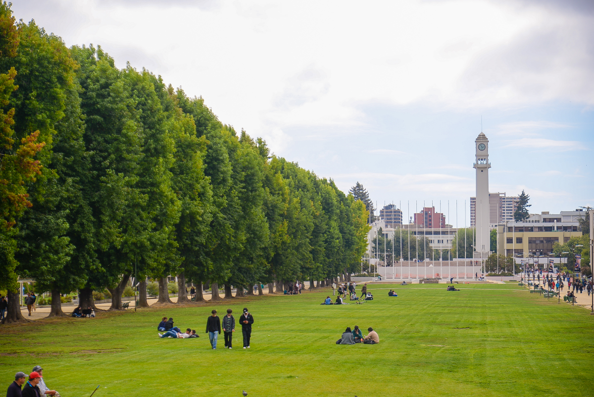 Universidad de Concepción publicó los resultados de sus finanzas 2023