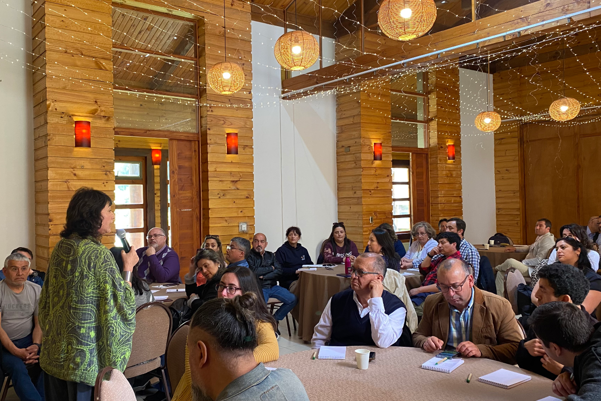 Semana de la Seguridad culminó con charlas sobre Ley Karin para comités paritarios de la UdeC